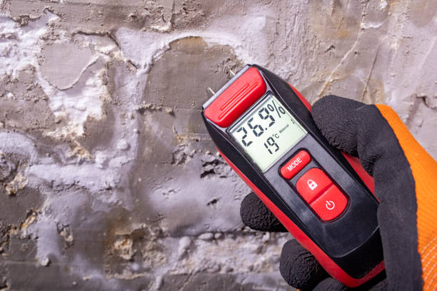 Best Residential Mold Removal  in Union Grove, WI