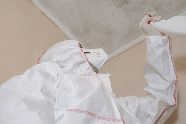 Best Crawl Space Mold Removal  in Union Grove, WI